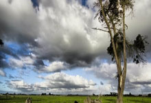 星空体育app-关于重磅！北京首钢远射贴柱备战CBA季后赛山东泰山豪取连胜备战中超，浓眉哥赛事官方发布高光表现新规的信息-星空体育app